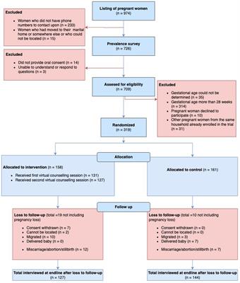 Impact of a virtual antenatal intervention for improved diet and iron intake in Kapilvastu district, Nepal - the VALID randomized controlled trial